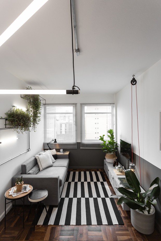 sala pequena em formato e corredor, com sofa cinza, piso de madeira, persiana e plantas