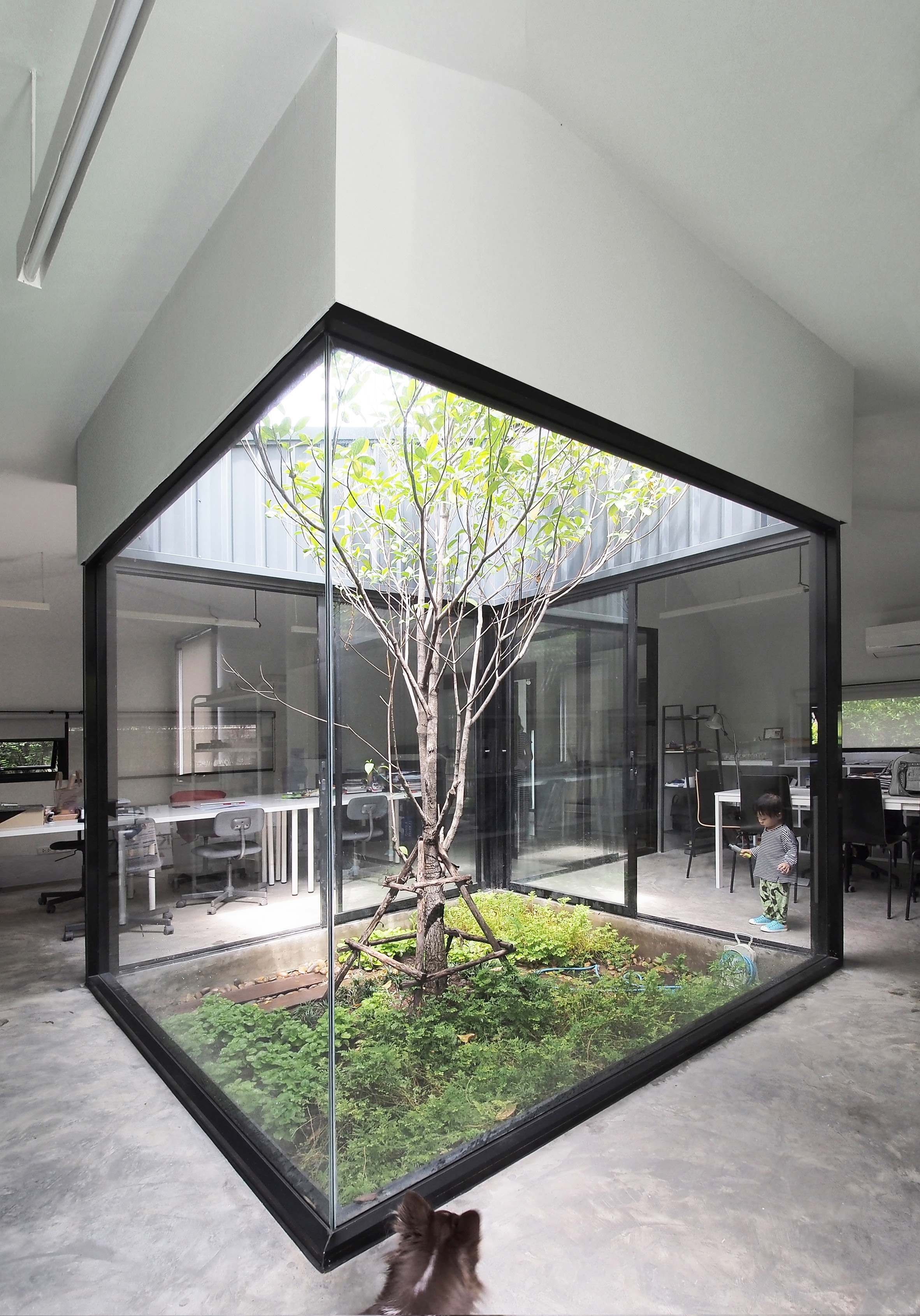Jardim envolto em paredes de vidro, deixando entrar a luz natural e junto com ela a vegetação.