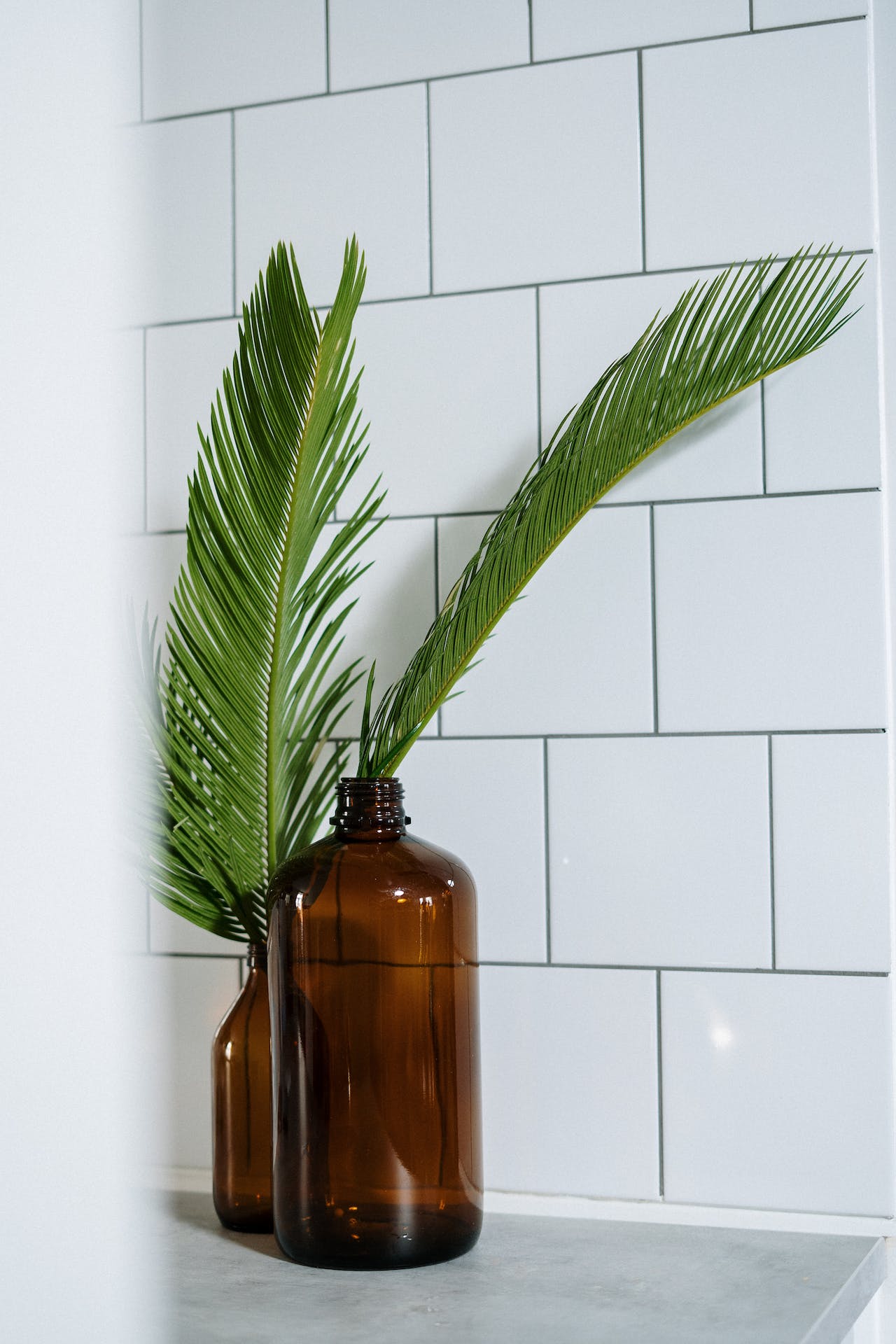 parede com azulejo branco e rejunte preto e vaso de planta decorativo