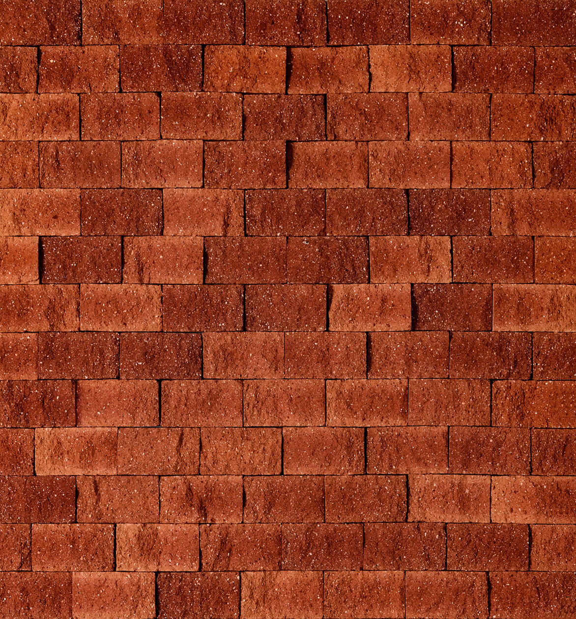 Conheça os vencedores do Prêmio Best in Show