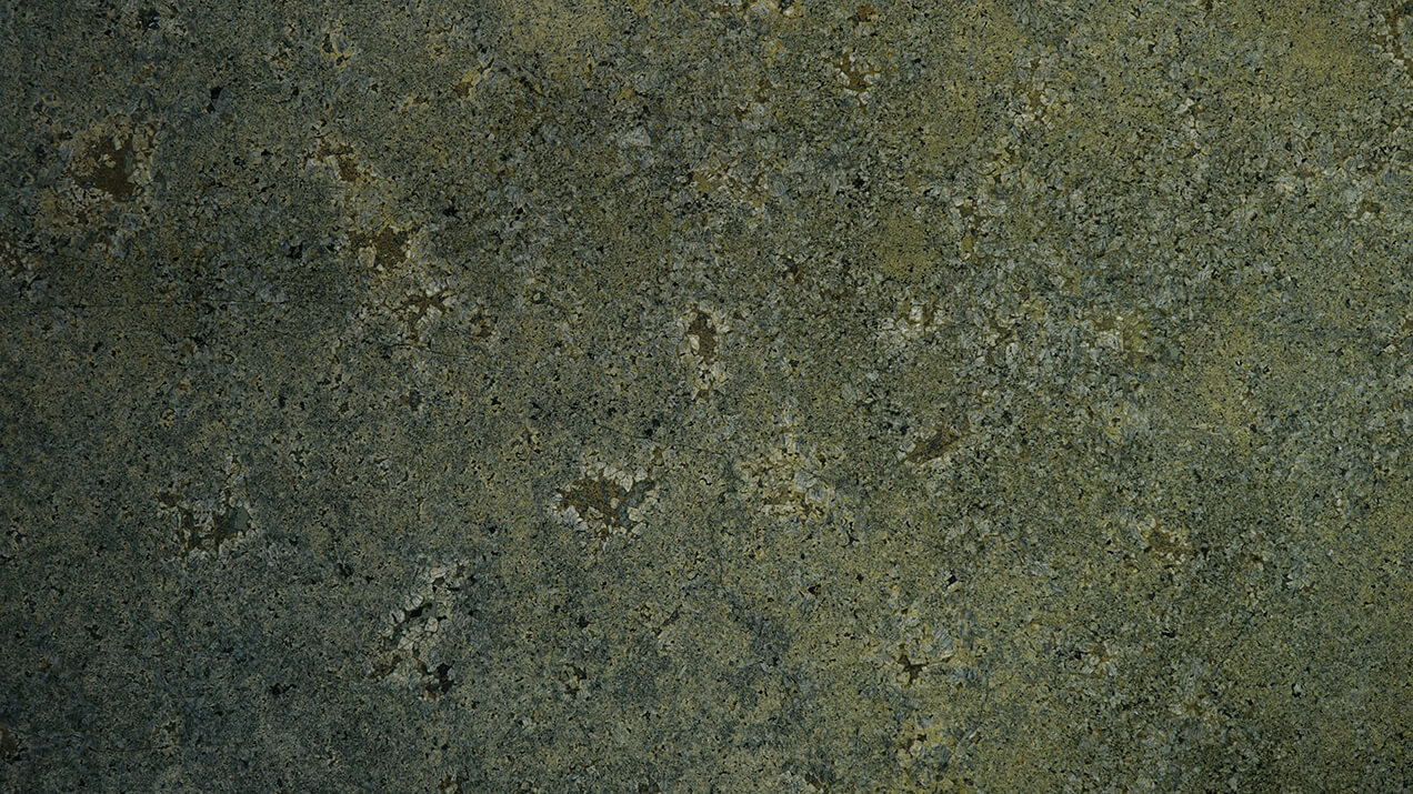 Conheça os vencedores do Prêmio Best in Show